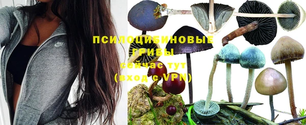 гидропоника Аркадак