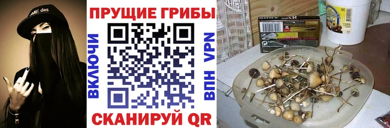 Псилоцибиновые грибы ЛСД  купить наркоту  Урюпинск 
