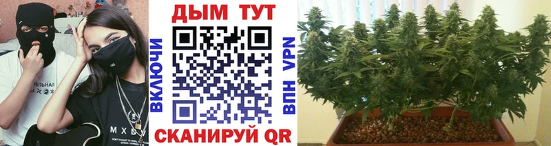 МАРИХУАНА OG Kush  Урюпинск 